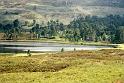 Glen Afric